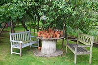 Collection of small terracotta pots on makeshift table made from a cable reel and benches under old Plum tree.