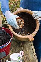 Step by step planting a spring container for Easter. Place stones and gravel in the base of the container to ensure good drainage.