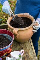 Step by step planting a spring container for Easter. Fill with potting compost.