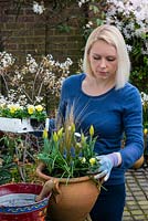 Step by step planting a spring container for Easter. Plant the smallest plants, the violas, in the gaps at the edge of the container.