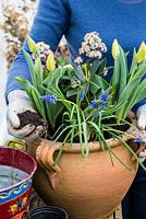 Step by step planting a spring container for Easter. Top up the soil in the container and make sure the soil is well firmed down.