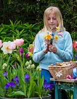 Mother's day posie step by step in April. Arranging the flowers in hand, chosen from pink Clematis armandii 'Apple Blossom', daffodils, grape hyacinths, snowflakes, hellebores and pink tulips.
