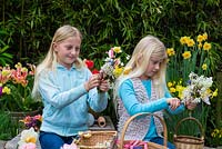 Mother's day posie step by step in April. Sisters arranging the flowers in hand, chosen from pink Clematis armandii 'Apple Blossom', white amelanchier, daffodils, grape hyacinths, snowflakes, hellebores, lungwort, pear blossom and pink tulips.