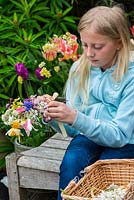 Mother's day posie step by step in April. Securing with a ribbon  the posie of pink Clematis armandii 'Apple Blossom', white amelanchier, daffodils, grape hyacinths, snowflakes, hellebores and pink tulips.