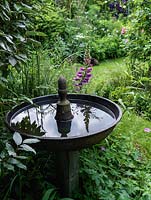 A bird bath in a shady corner of a summer garden. Made from an upturned iron pig feeder.