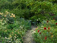 Sheltered table and chair under Indian bean tree at end of stone paved pathway through borders with mixed planting including, Dahlia 'Longwood Dainty' and 'Sugar Cane'.