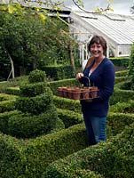 Louise Elliot, head gardener at Bignor Park, standing in the parterre with a basket of semi ripe box cuttings taken in autumn.