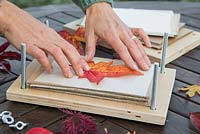 Carefully placing a leaf central to the craft paper. 