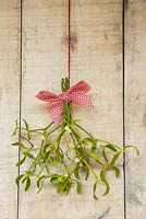 Mistletoe bouquet with a checkered red ribbon, hanging on a door. 