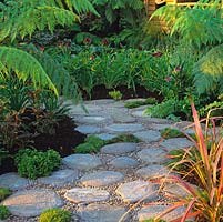Stepping stones laid in pebbles create winding path edged in exotic tree ferns, daylilies and phormium