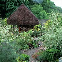 Path leads through Crambe cordiflia, scabious and roses to a gazebo roofed in heather, 