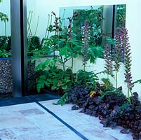 Calm space based on Spanish Moorish and modern design. Clean lines and crisp planting. Acanthus and foliage reflected in mirror on wall.