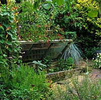 Old hand built wooden cold frame tucked way in warm, sunny, secluded corner is ideal for germinating and protecting young seedlings and tender varieties.