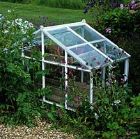 A Victorian, timber and glass cold frame is partly set in a bed of campion, aquilegia, sweet rocket and French lavender.