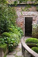 A view down the garden path.  Plants include: Box - Buxus sempervirens, Bergenia and ferns.