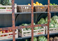 Shelves with boxes of lemons, limes, cauliflowers, aubergines and artichokes.