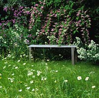 Rustic bench is overhung by Deutzia x hybrida Magician and edged in Geranium maderense and white valerian. Seen through wild flower meadow of ox-eye daisies.