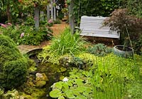 Gray wooden swing bench next to a pond with a wooden footbridge, Typha latifolia - Common Cattails, Nymphaea - Water Lily and Acer palmatum - Japanese Maple tree in backyard garden in summer, Jardin Secret garden, Quebec, Canada