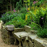 York stone retaining walls stand between a gravel path and sloping beds of foxgloves, ferns, centaurea, euphorbia, azalea and broom.