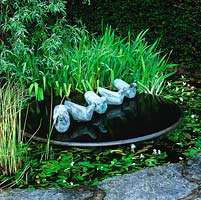 Dove Bowl by Bridget McCrum sits at heart of small pool with iris, rushes and white-flowered Cape pondweed.