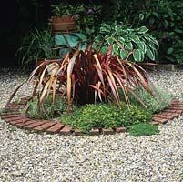 Phormium cookianum Maori Sunrise rises above thyme in a brick edged bed set at the centre of a small gravelled courtyard.