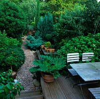 Raised deck with teak dining table overlooks long, thin town garden with strong evergreen structure and winding pebble path.