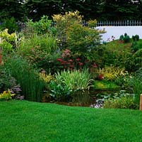 By lawn, tranquil pool with water lilies, edged in marginal planting of iris, grasses, mint, typha, arum and acorus.