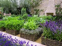 Organic potager -  raised beds of woven willow panels. Herbs: thyme, chervil, mint, salvia, lavender, rosemary. Veg: pea, artechoke, chard, beetroot, carrot, chives, beans, tomatoes.
