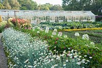 Bright annuals such as argyranthemums and cleomes, the spider flower, line the central path of the walled kitchen garden, with vegetables beyond and glasshouses on far wall protecting tender fruit. Forde Abbey, nr Chard, Dorset, UK