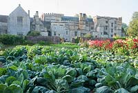 Orderly rows of vegetables and ornamentals in the walled kitchen garden with backdrop of historic Forde Abbey, nr Chard, Dorset, UK