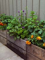 A small raised vegetable and herb bed made from recycled crates.