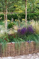 A contemporary raised border with prairie style planting around silver birch trees.