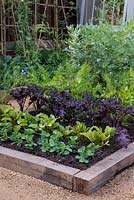 A small wooden raised be planted with sweat pea, beetroot, curly kale, celery, carrot and broad bean.