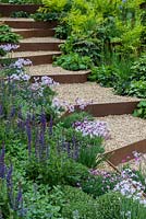 Gravel steps with rusted corten steel risers edged with Salvia Mainacht, Thymus vulgaris, Armeria maritima, Nepeta x fraassenii and Tulbaghia violacea.