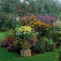 Pot of Argyranthemum Jamaica Primrose by borders of  verbena, helenium, Artemisia lactiflora, gazania 