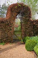 Decorative Beech archway over wooden garden gate in spring