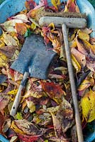 Shovel and brush with swept up autumn leaves in a wheelbarrow