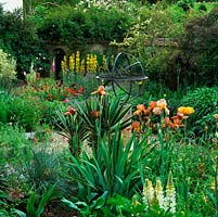 Mediterranean style, walled garden. Armillary sphere. Beds of Papaver Turkish Delight, Rosa White Pet, foxtail lily, yucca, bearded iris, lupin, Jacobs rod and cistus.