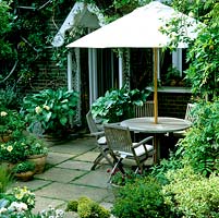 Shady patio outside front door edged in Hosta Krossa 'Regal'. Patio edged in Allium karavatiense 'Ivory Queen', petunias and roses, pink pansies and peonies.