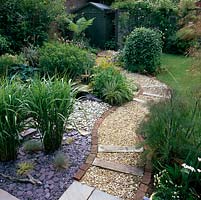 Path of stone chippings retained by brick edging and wooden bars placed along its length. On left - Clumps of Miscanthus sinensis Zebrinus in slate. Tree fern by shed.
