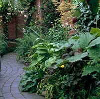 Lovely, curving brick path snakes past a border of rheum, hosta, grasses and ferns.