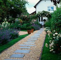 Gravel and pavers path leads to 1820s barn conversion with Rosa 'Wedding Day' on arch. To right: Rosa 'Winchester Cathedral'. To left: nepeta walk, Rosa 'Ballerina' standard.