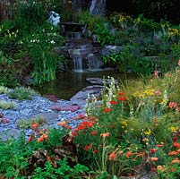 Cascade gushes down huge slate rocks into pool edged in slate shards, clumps of thyme. Informal planting: lavender, achillea, grasses, verbascum, fern, foxglove and heuchera.