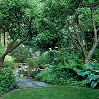 Old apple trees, corydalis and hostas edged path leading to sunken area with white peonies, hebe, petunia, pansies, hostas, ferns, hellebores and foxgloves.