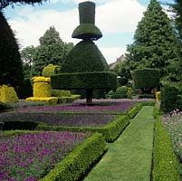 Levens Hall, the worlds oldest topiary garden - Circa 17th century. 90  pieces clipped from yew - Taxus baccata and Aurea and box cut into shapes - peacocks, figures or chess pieces.