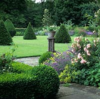 Yew topiary cones march across the lawn, seen through box hedging, catmint, alchemilla and pink Rosa Felicia.