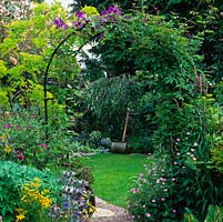 Metal arch bearing purple Clematis 'Jackmanii rises above hardy geranium and eryngium, framing view of lawn overlooked by retired lawn mower