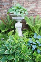 Hostas and ferns cluster around a decorative planter in a shady corner of the garden. 