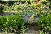 Old fashioned roses hang over the River Bride as it runs along the lower end of the garden, underplanted with hardy geraniums and pink phuopsis. Littlebredy Walled Gardens, Littlebredy, Dorset