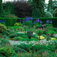 Sylvias garden, in memory of Robin Comptons mother. Splashes of Argyranthemum. Lavender, geranium, oregano, iris and salvia edge paths. Many Delphinium Elatum hybrids.